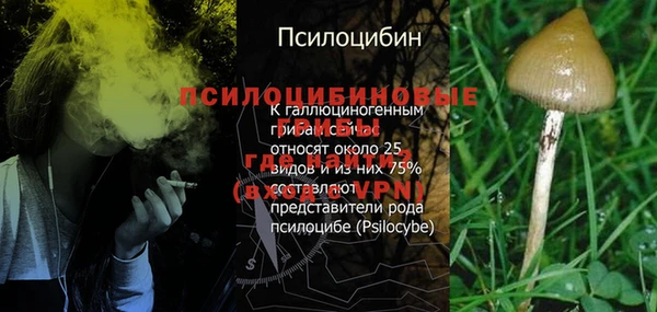 тгк Балабаново