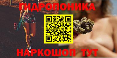 дживик Аргун