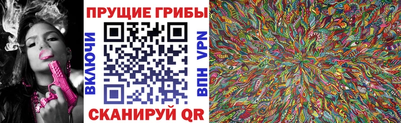 Галлюциногенные грибы Psilocybine cubensis  Балахна 