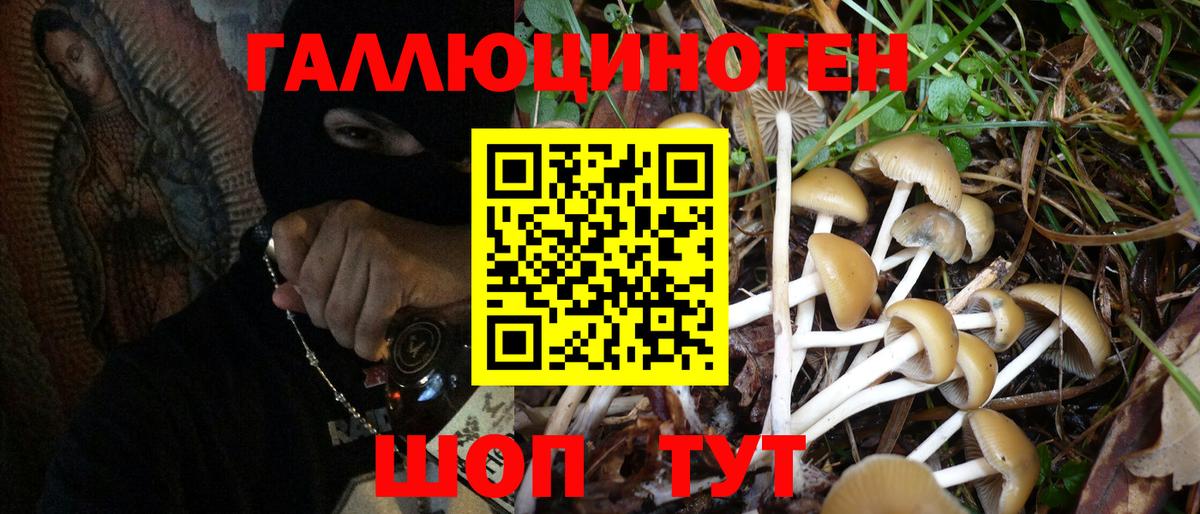 Псилоцибиновые грибы Psilocybe Балахна